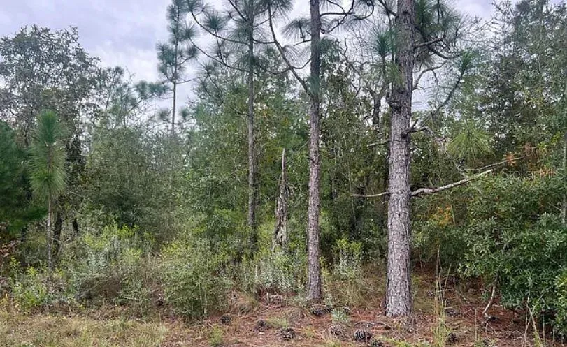 N/A Fountain, FL 32438