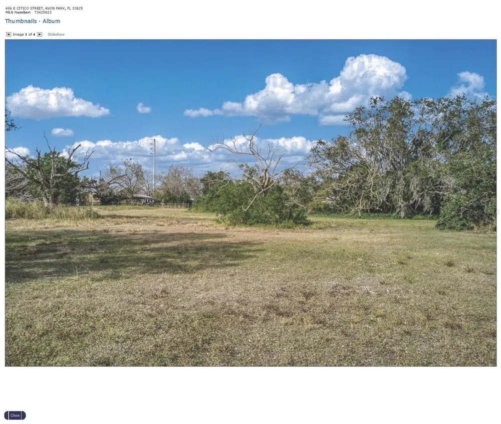 406 E CITICO STREET Avon Park, FL 33825