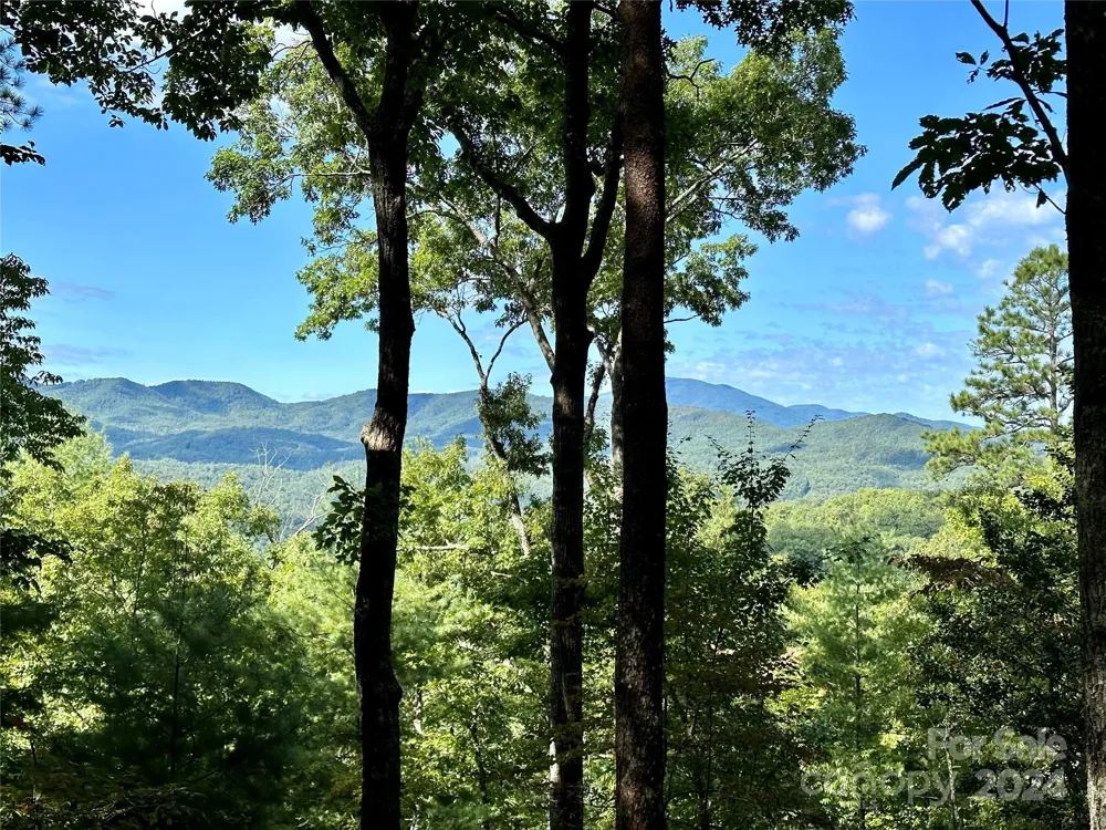 176 Winterberry Drive #17 Marshall, NC 28753