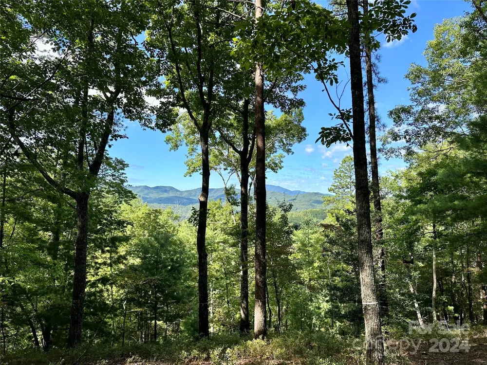 176 Winterberry Drive #17 Marshall, NC 28753