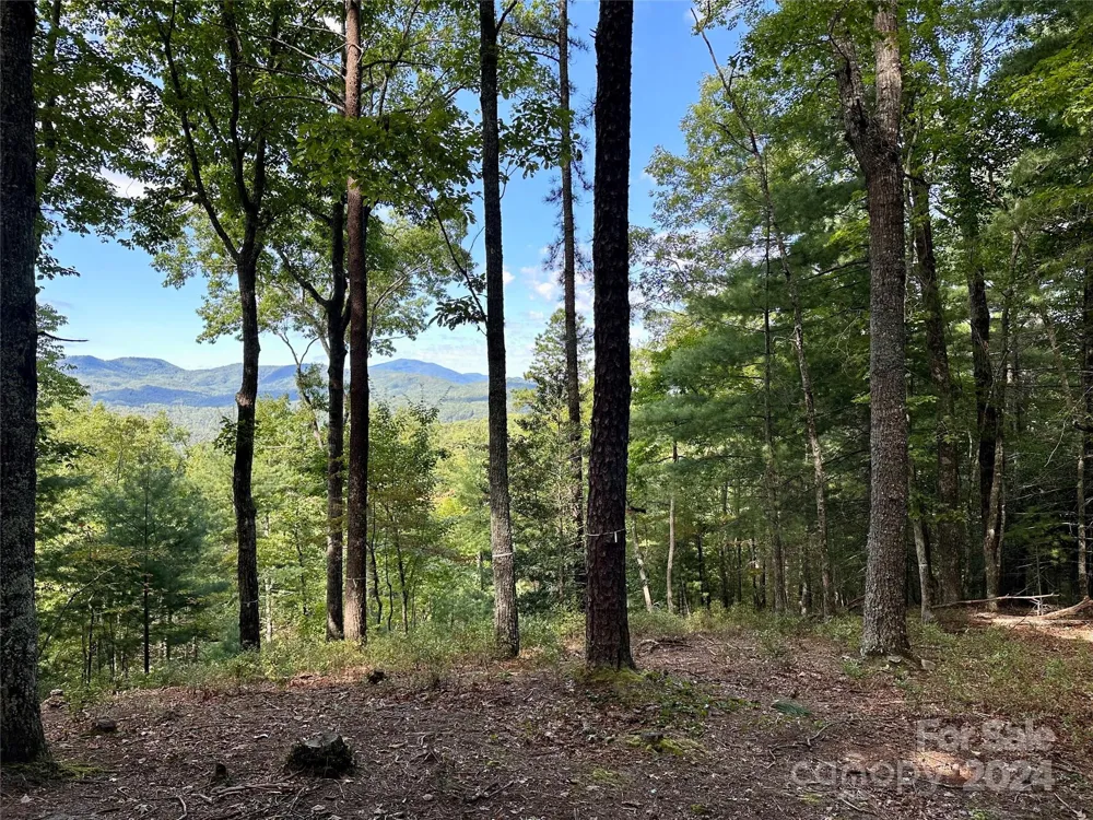 176 Winterberry Drive #17 Marshall, NC 28753