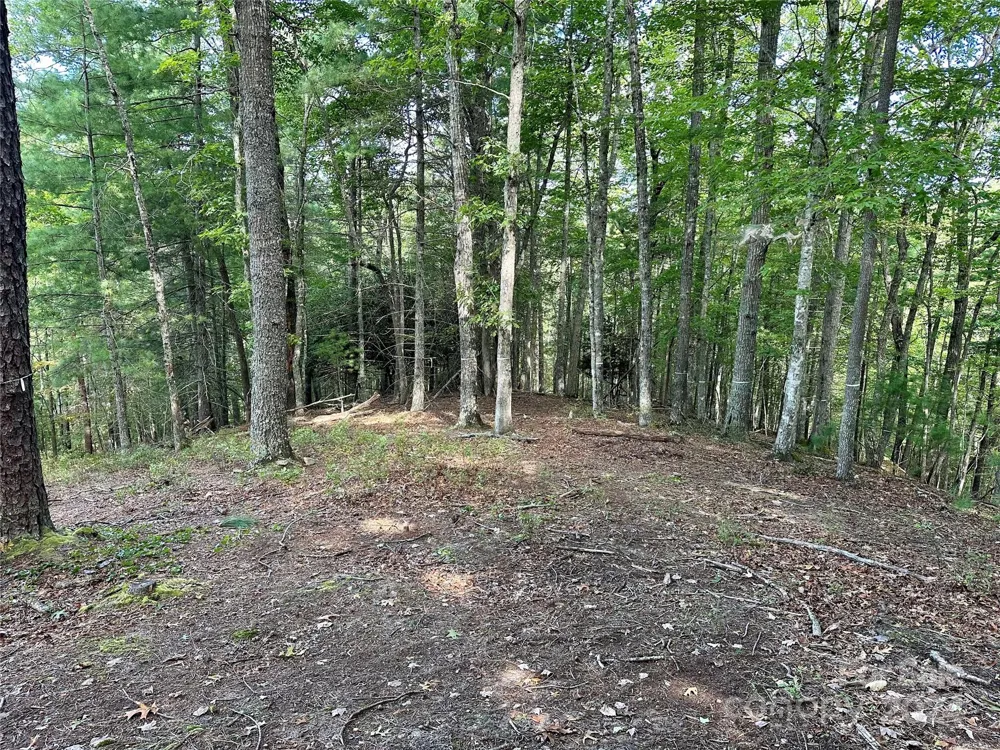 176 Winterberry Drive #17 Marshall, NC 28753