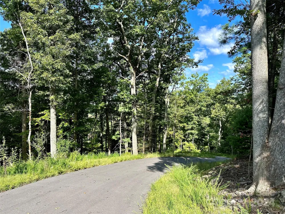 176 Winterberry Drive #17 Marshall, NC 28753