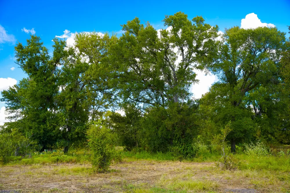 470 Center Coupland, TX 78615