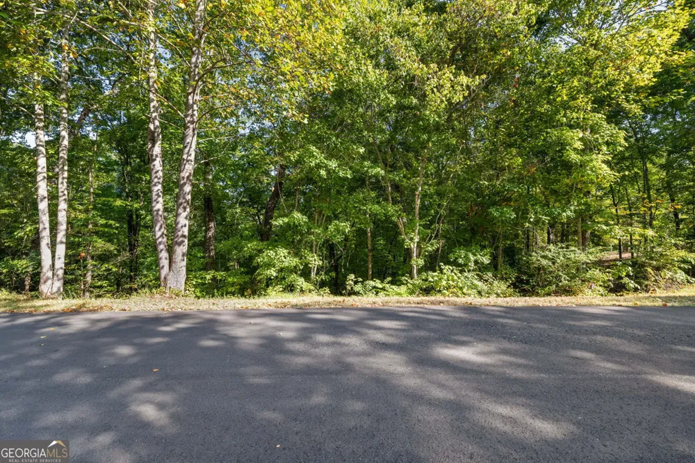 0 Gold Crest DR Dahlonega, GA 30533
