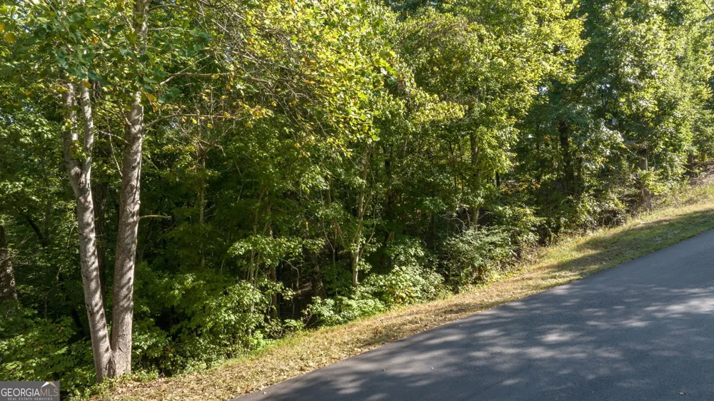 0 Gold Crest DR Dahlonega, GA 30533