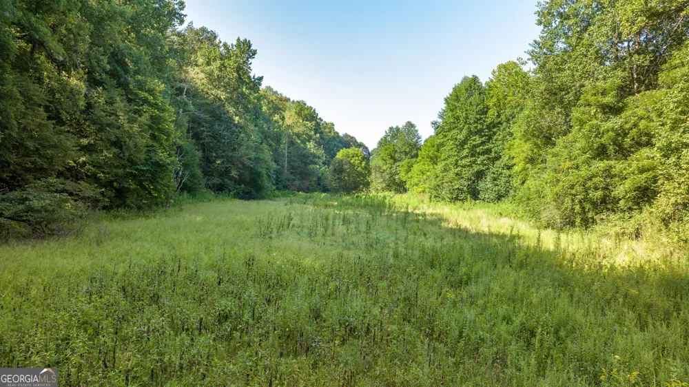 0 Gold Crest DR Dahlonega, GA 30533