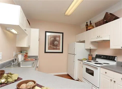 3920 Club Drive #1207 Duluth, GA 30096