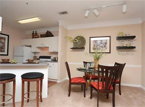 3920 Club Drive #1207 Duluth, GA 30096