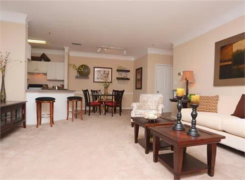 3920 Club Drive #1207 Duluth, GA 30096