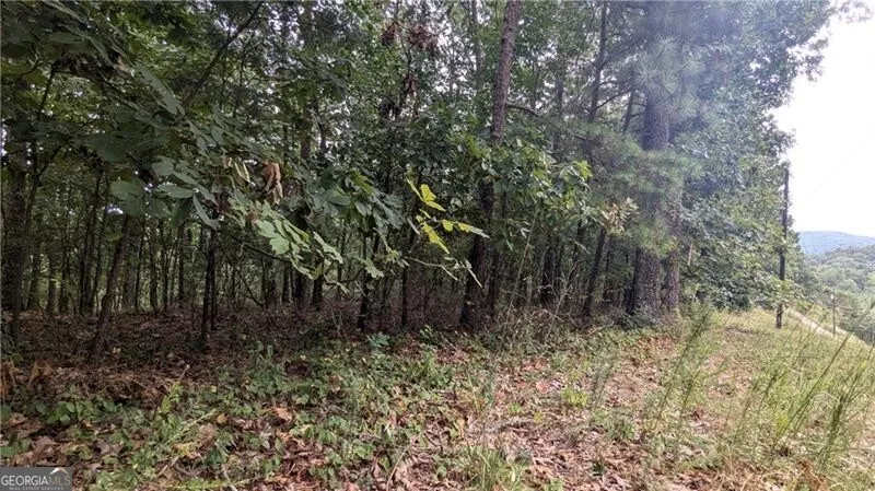278 Adair DR NE Ranger, GA 30734