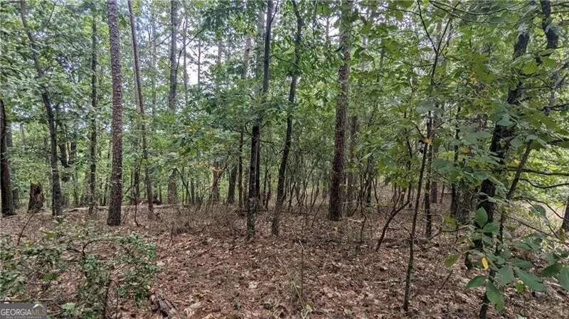 278 Adair DR NE Ranger, GA 30734