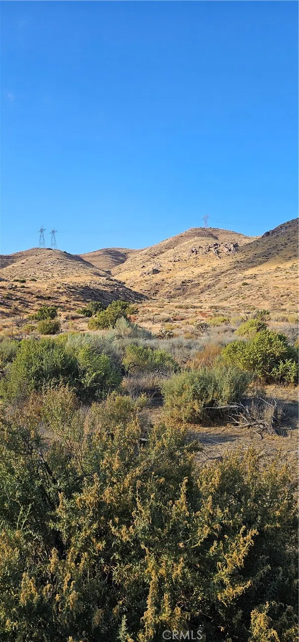 Soledad Pass Road Acton, CA 93550