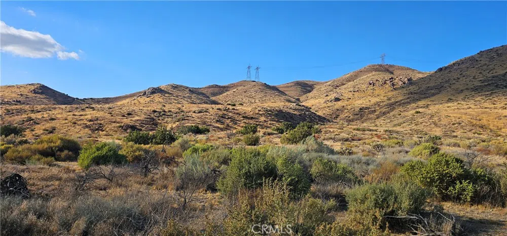 Soledad Pass Road Acton, CA 93550