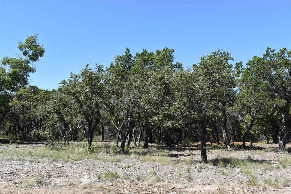 24369 Round Mountain Road #6 Leander, TX 78641