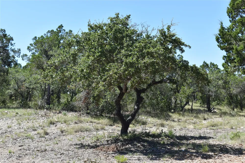 24369 Round Mountain Road #6 Leander, TX 78641