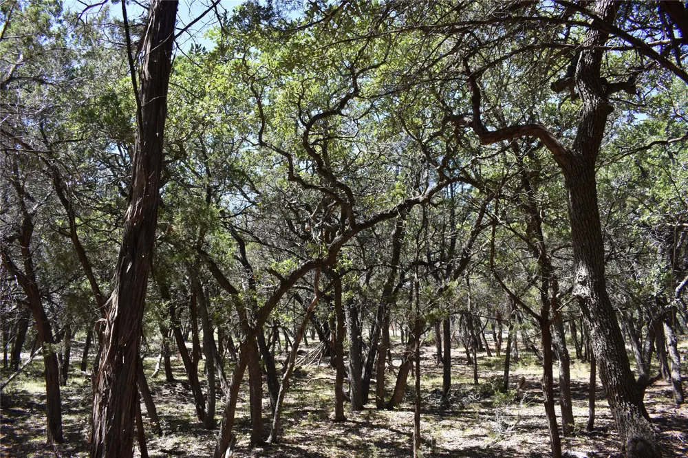 24369 Round Mountain Road #6 Leander, TX 78641