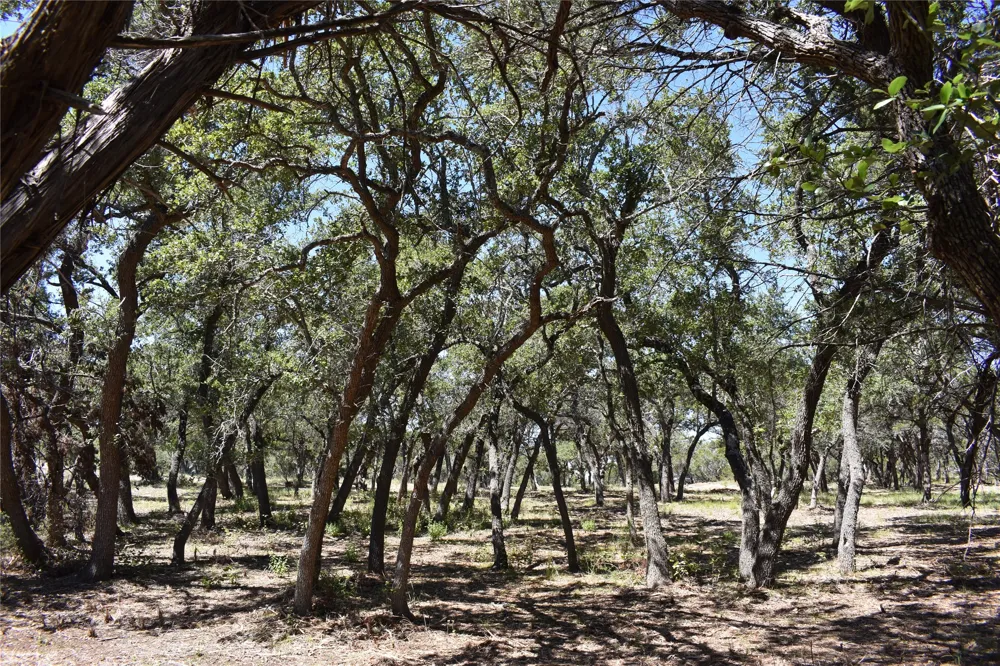 24369 Round Mountain Road #6 Leander, TX 78641