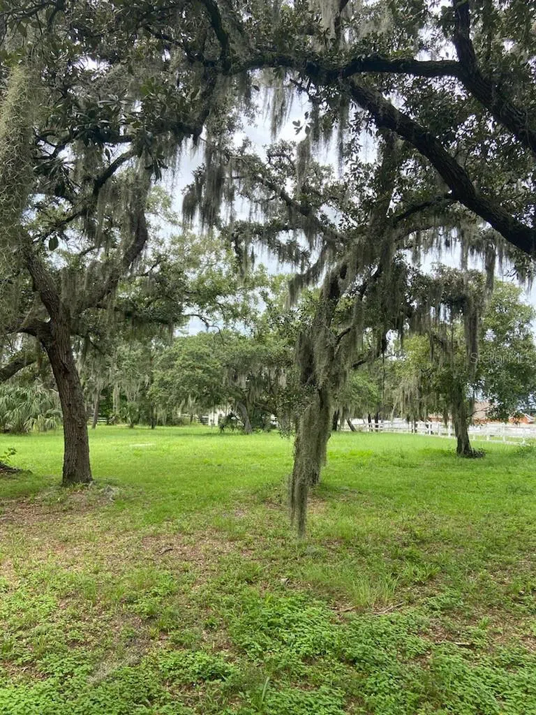 0 HILLTOP DRIVE New Port Richey, FL 34654