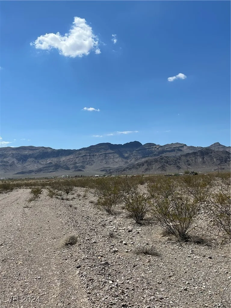 420 W Peachtree Lane Pahrump, NV 89060