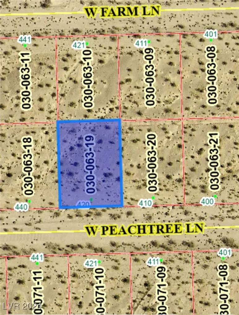420 W Peachtree Lane Pahrump, NV 89060