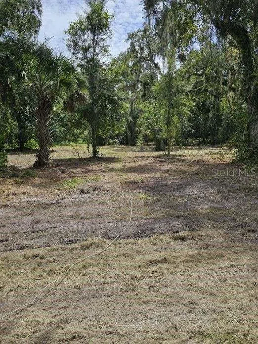 152 TALL OAK TRAIL Zolfo Springs, FL 33890