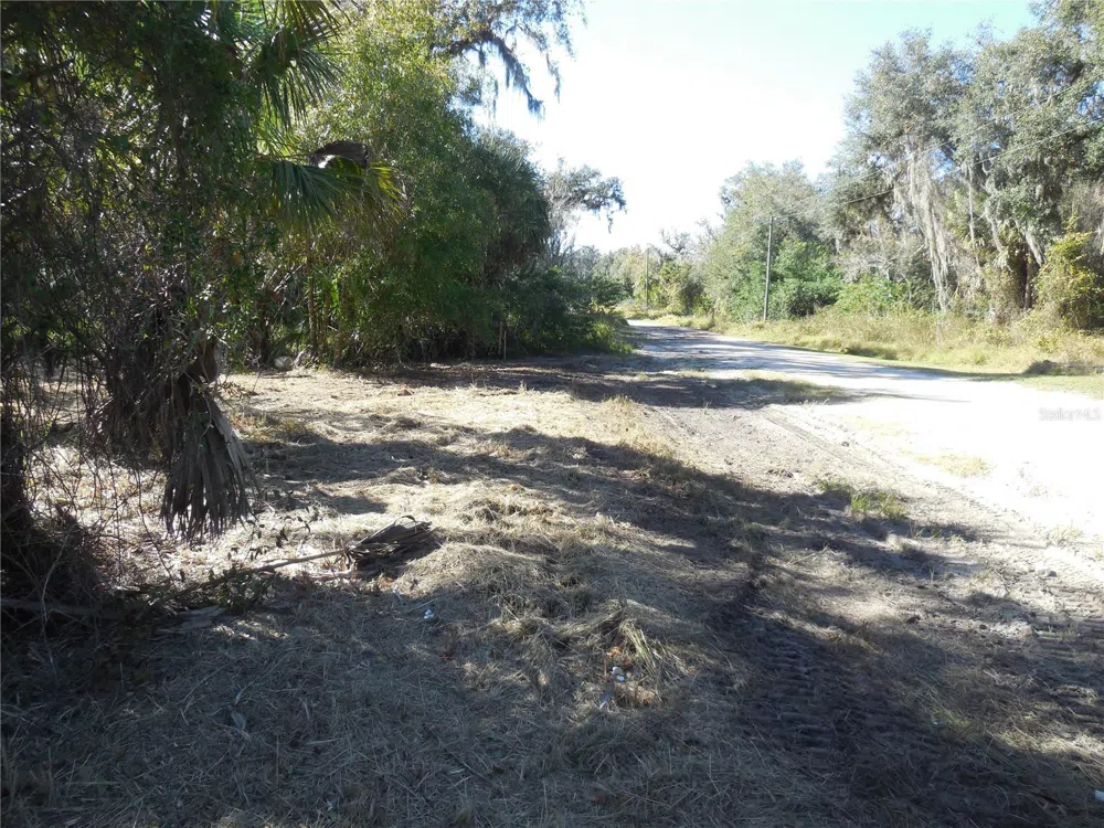 152 TALL OAK TRAIL Zolfo Springs, FL 33890