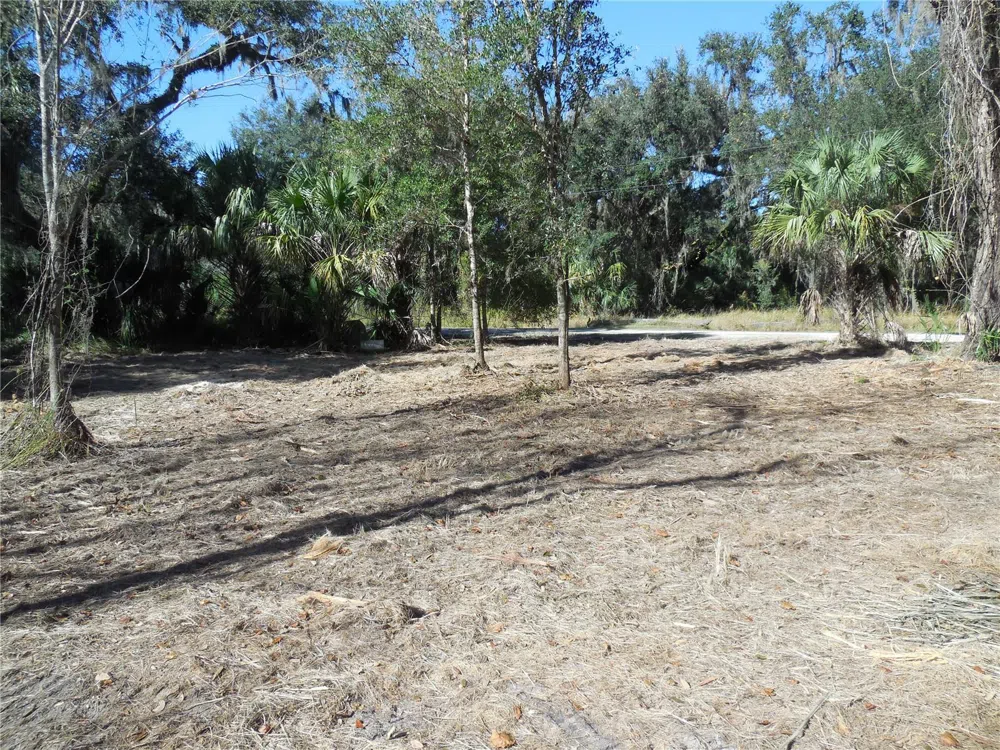 152 TALL OAK TRAIL Zolfo Springs, FL 33890
