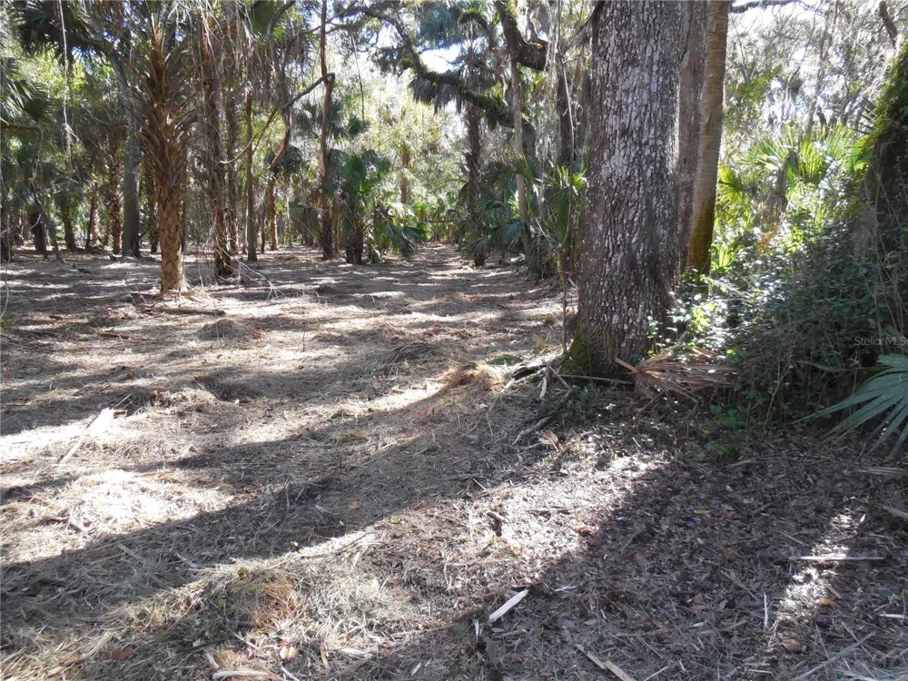 152 TALL OAK TRAIL Zolfo Springs, FL 33890