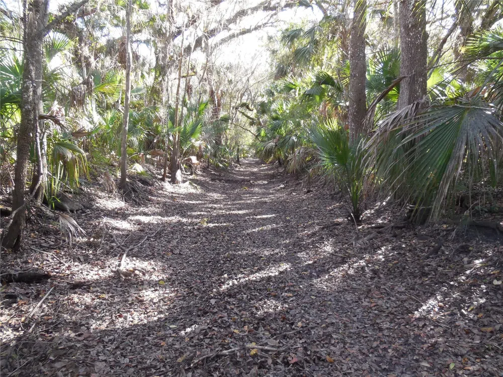 152 TALL OAK TRAIL Zolfo Springs, FL 33890