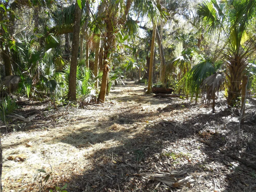 152 TALL OAK TRAIL Zolfo Springs, FL 33890