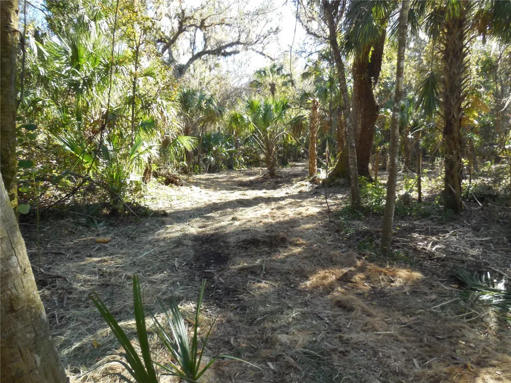 152 TALL OAK TRAIL Zolfo Springs, FL 33890