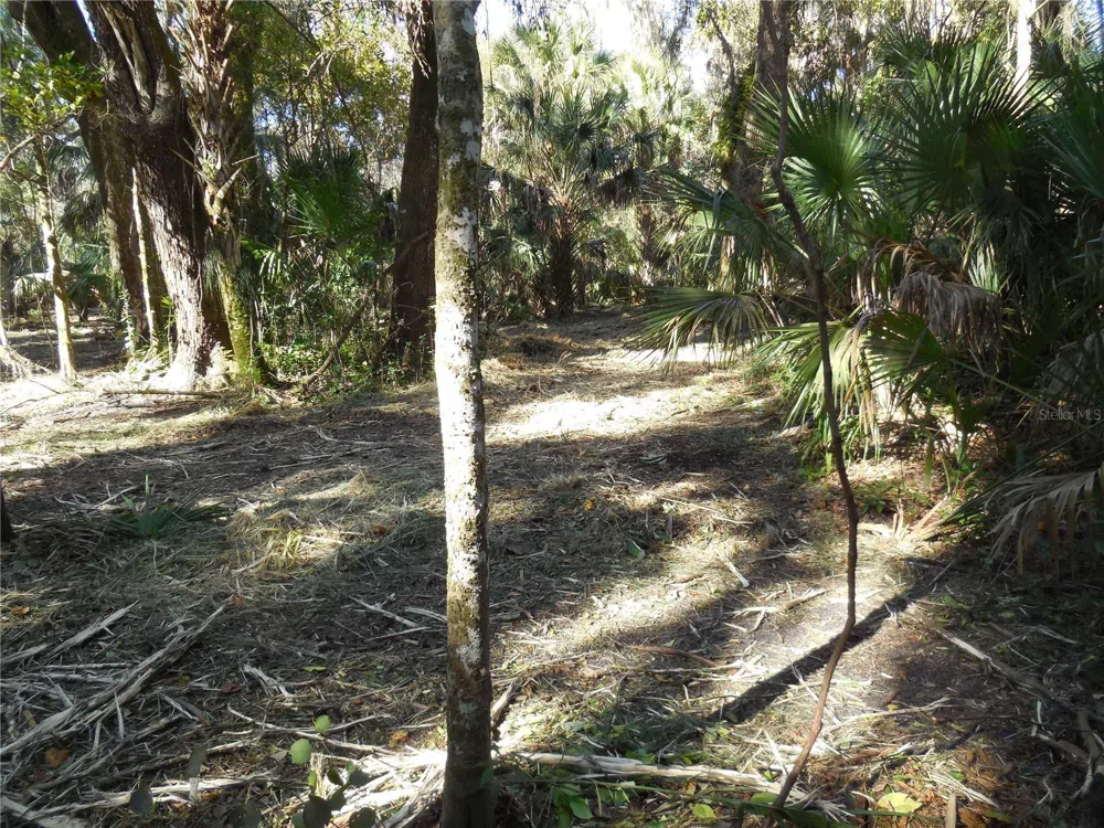 152 TALL OAK TRAIL Zolfo Springs, FL 33890