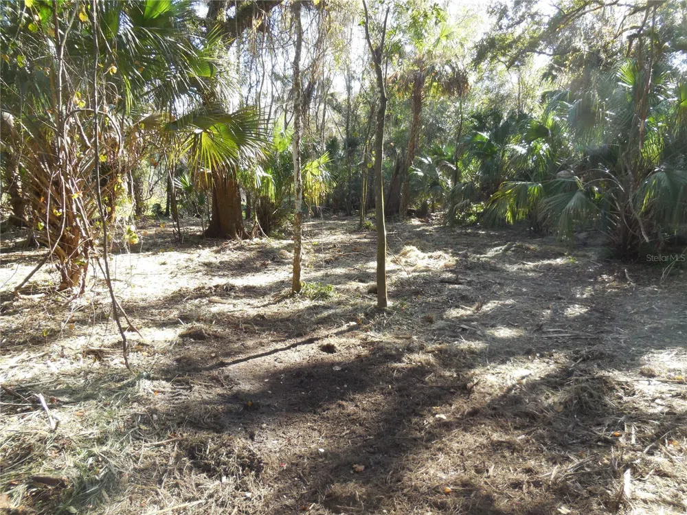 152 TALL OAK TRAIL Zolfo Springs, FL 33890