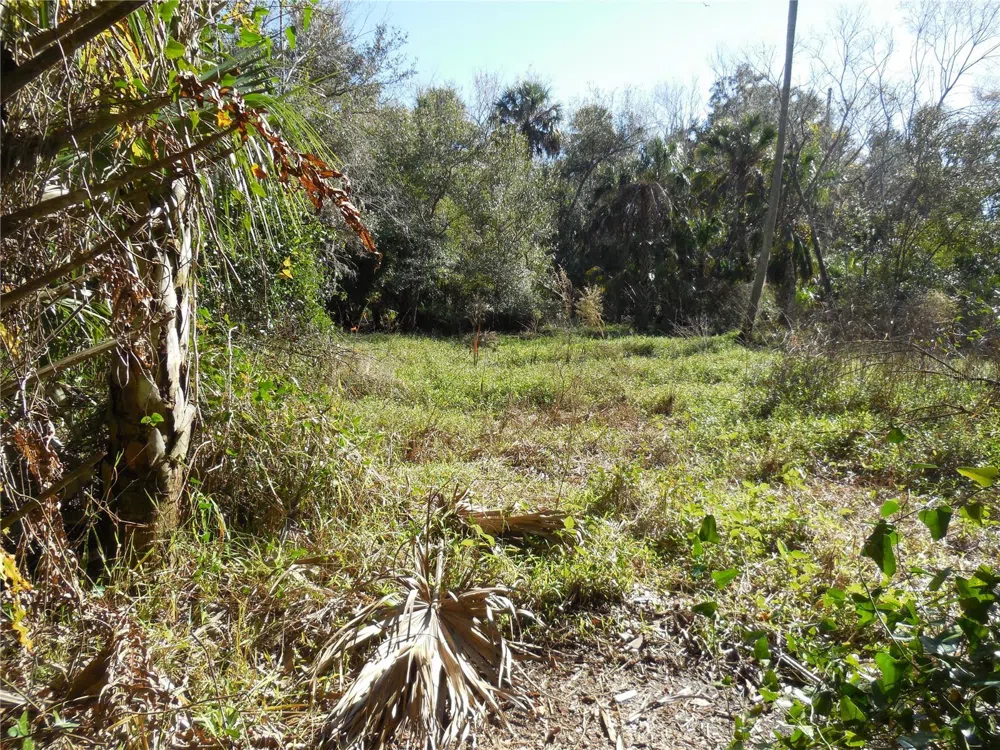 152 TALL OAK TRAIL Zolfo Springs, FL 33890