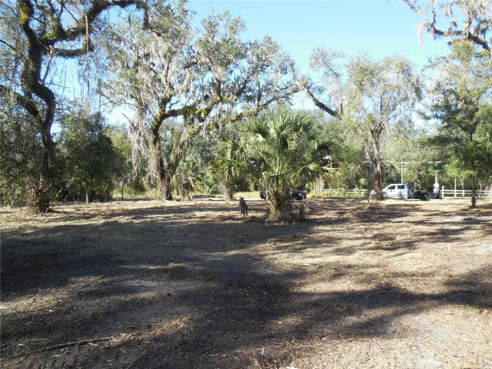 152 TALL OAK TRAIL Zolfo Springs, FL 33890