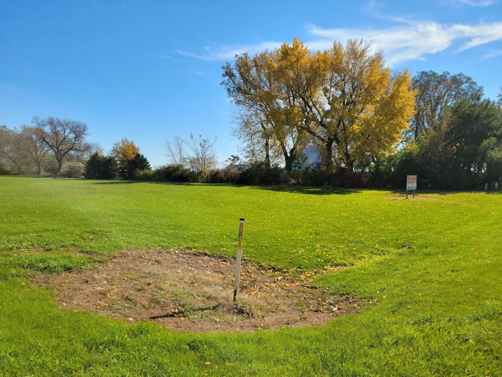 xxx Appel Springfield, MN 56087