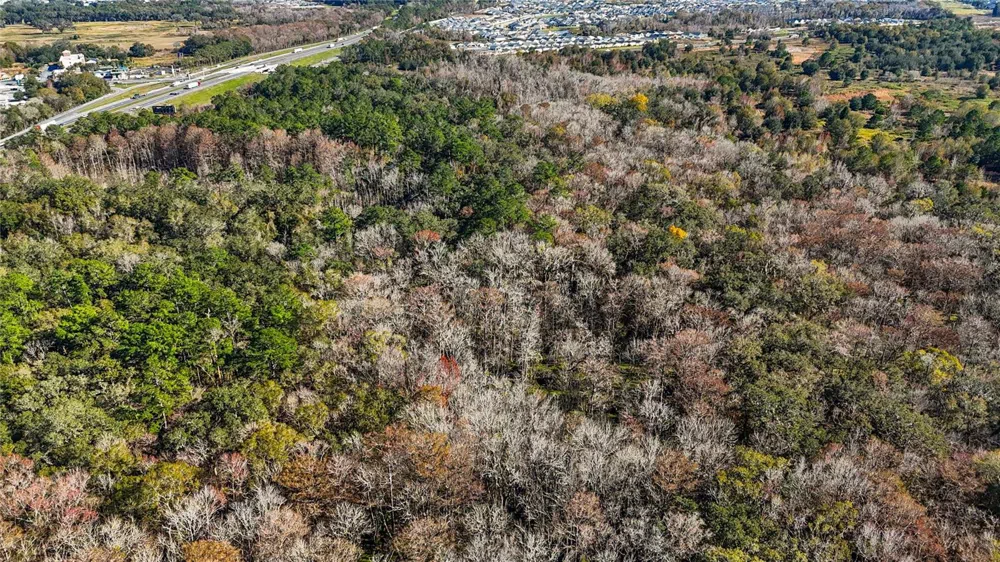 HWY 301 / MAIN STREET Wildwood, FL 34785