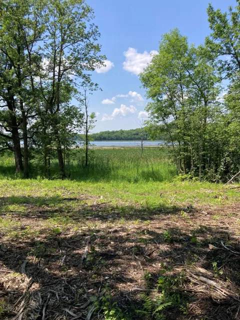 1246 Island Lake Resort Drive