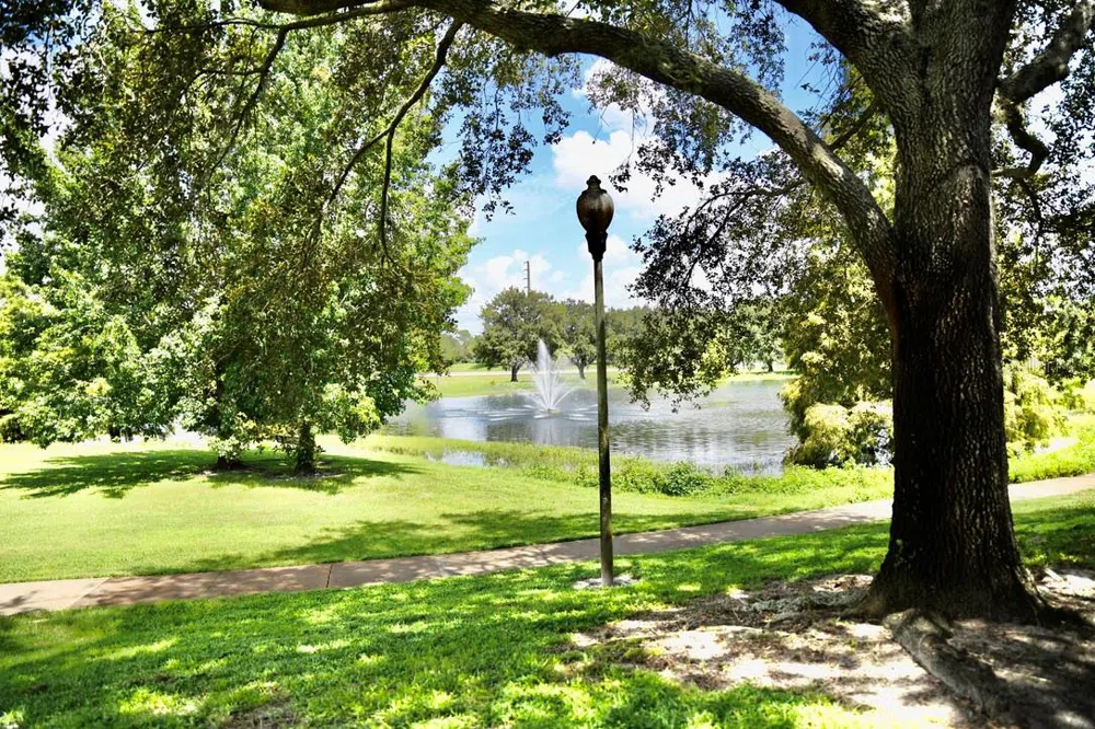 36121 LAKE CHASE BOULEVARD #204 Zephyrhills, FL 33541
