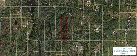 HOLOPAW GROVES ROAD