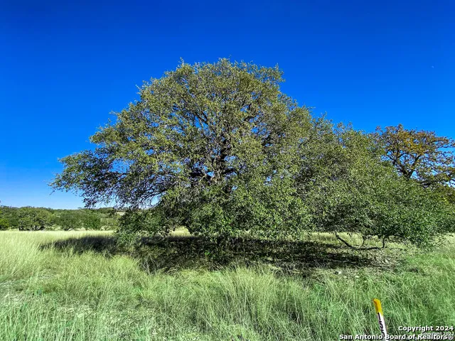 LOT 155 Loma Vista Ranch Kerrville, TX 78028