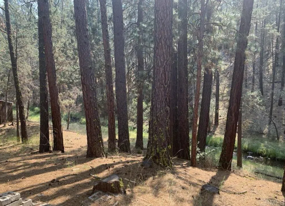 Lot 13 Drive Alturas, CA 96101