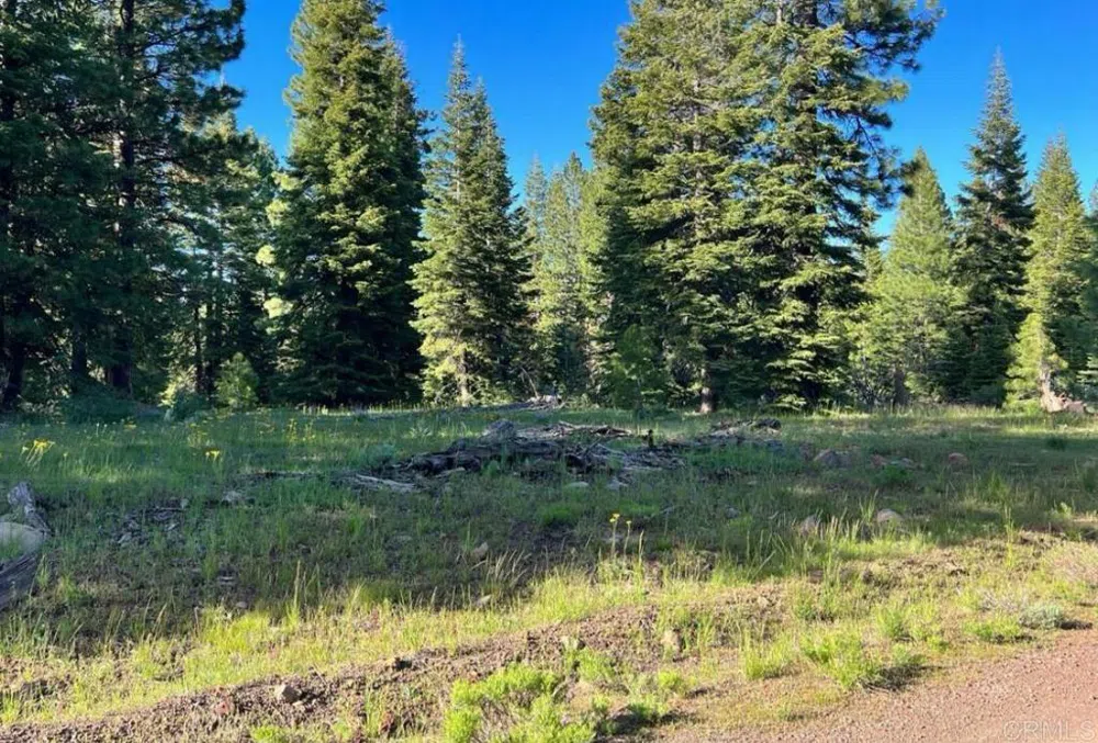 Lot 13 Drive Alturas, CA 96101