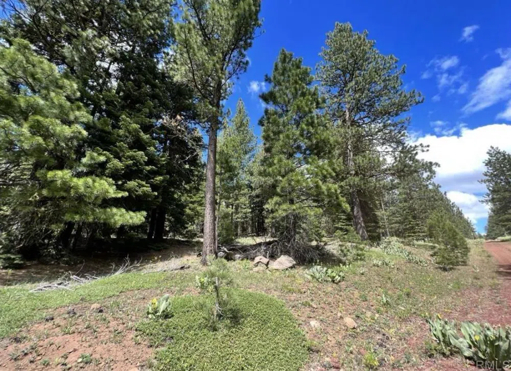 Lot 13 Drive Alturas, CA 96101