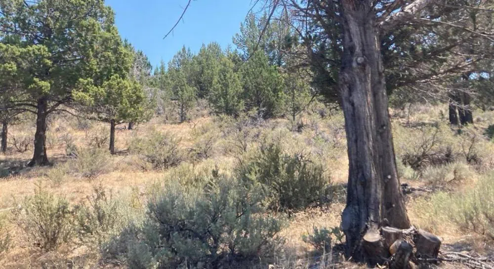 Glacier Dr Lot 12 Alturas, CA 96101