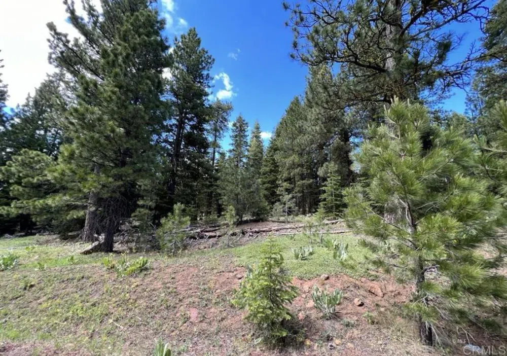 Glacier Dr Lot 12 Alturas, CA 96101
