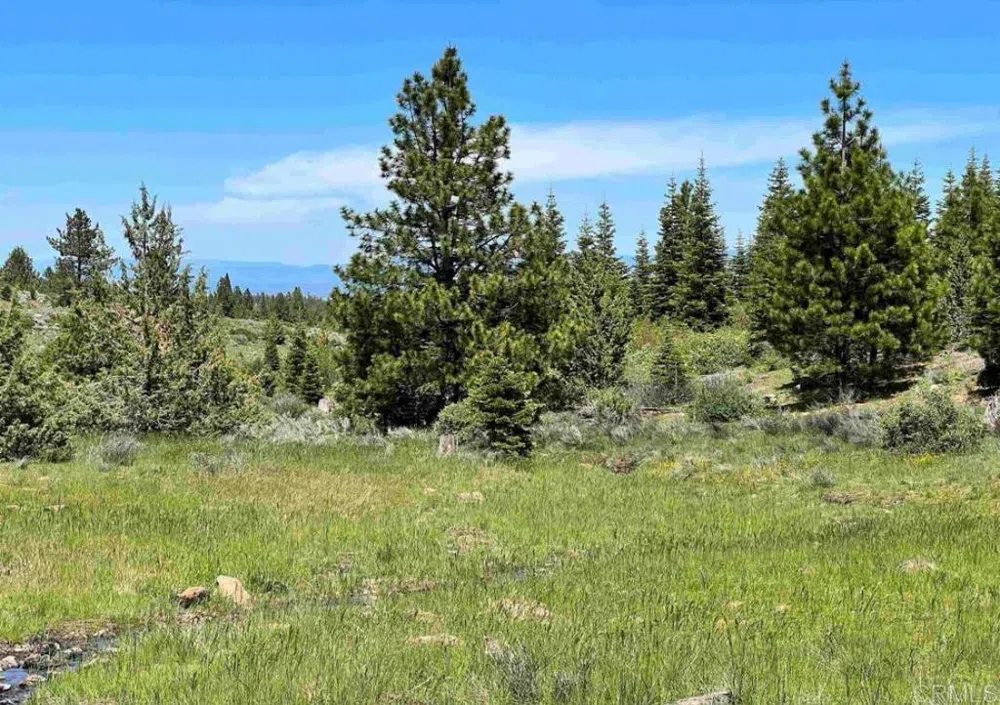 Glacier Dr Lot 12 Alturas, CA 96101
