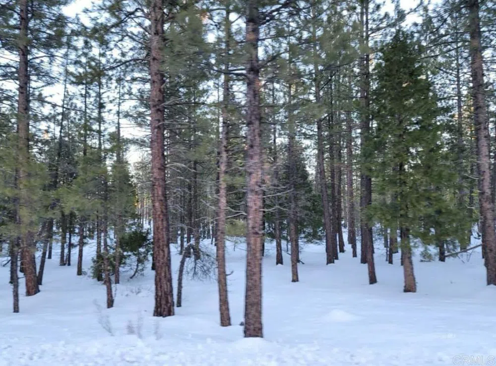 Glacier Dr Lot 12 Alturas, CA 96101