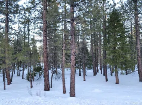 Glacier Dr Lot 12